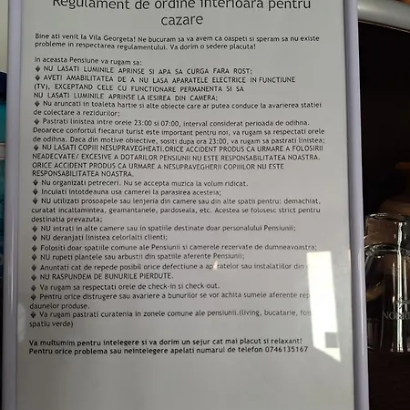 Rustica Georgeta Zarnesti
