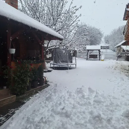 Rustica Georgeta Alojamento de Turismo Selvagem Zărneşti