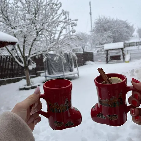 Rustica Georgeta * Zărneşti